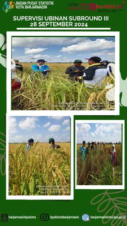 Supervision Rice Tilling of Subround III at Tanjung Pagar Village